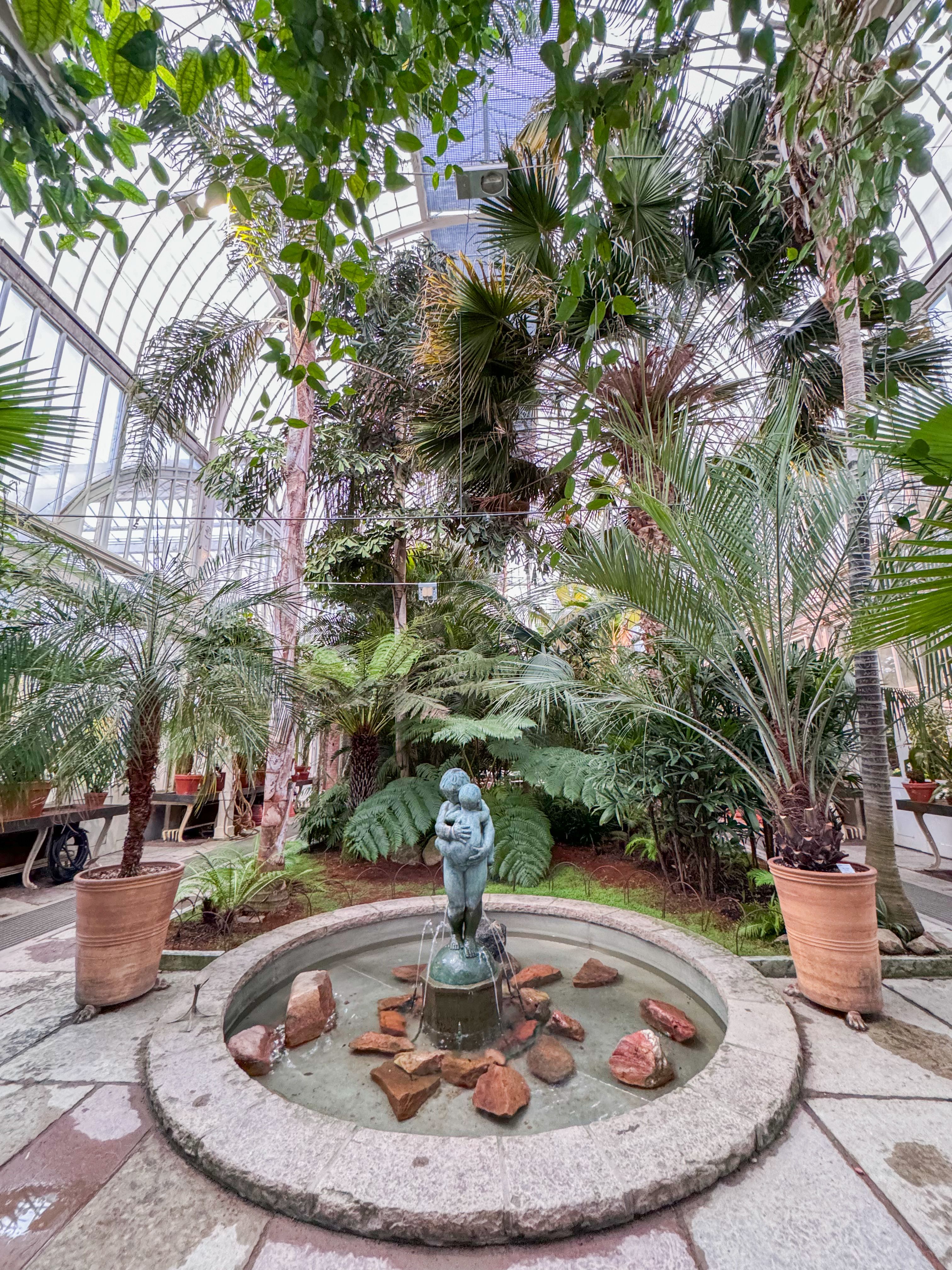 The inside of a botanical greenhouse