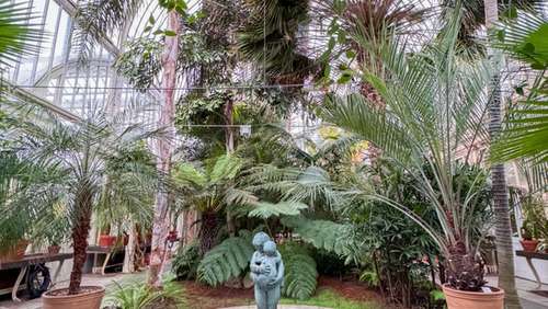 The inside of a botanical greenhouse