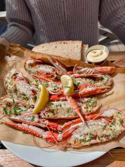 Langoustine gratin served with bread and aïoli.