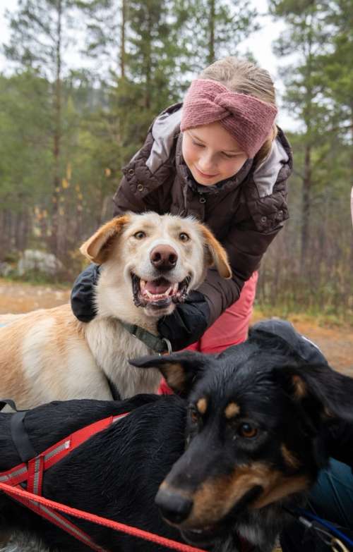 A girl cuddling two dogs out in the woods.