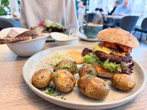 vegetarian burger with oven-baked potatoes.