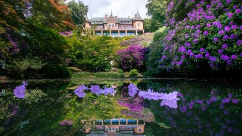 sofiero palace