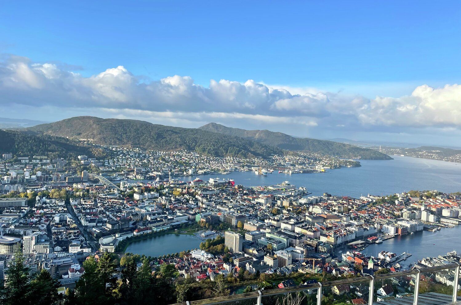 View of the city Bergen from the top of Mount Fløyen.