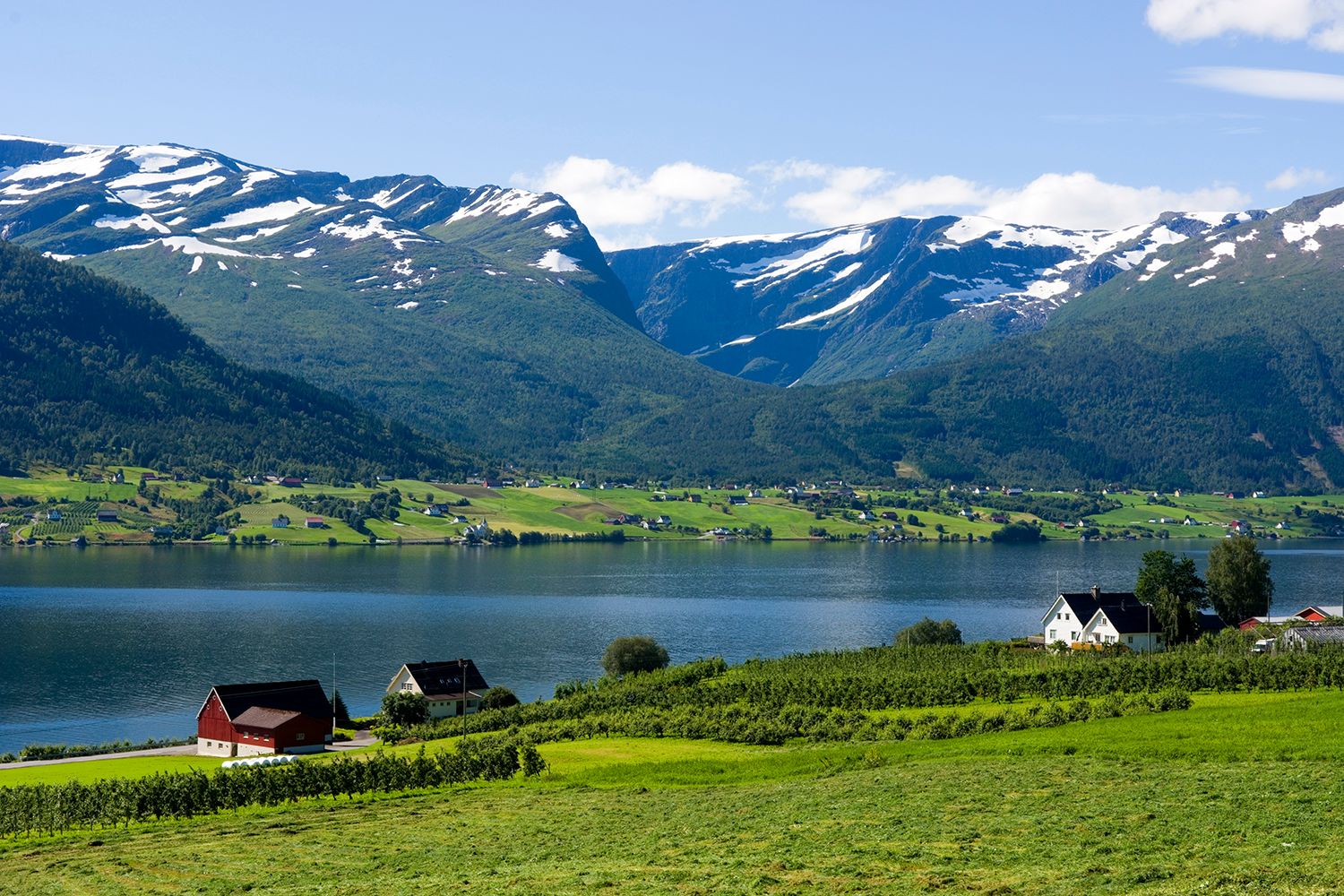 Bilde av snøbelagte fjell i bakgrunnen med grønne jorder og noen hus foran Gloppenfjorden i Sandane
