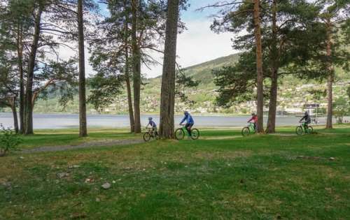 A family with two children cycling along side a lage past trees