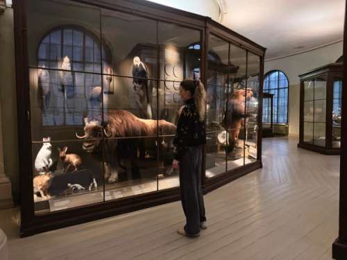 Museum