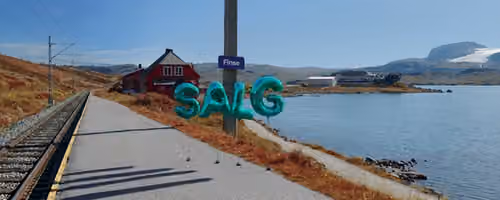 Vann med en vei som går langsmed, fjell og blå himmel i bakgrunnen. Et skilt hvor det står Finse, og Salg skrevet med ballonger.