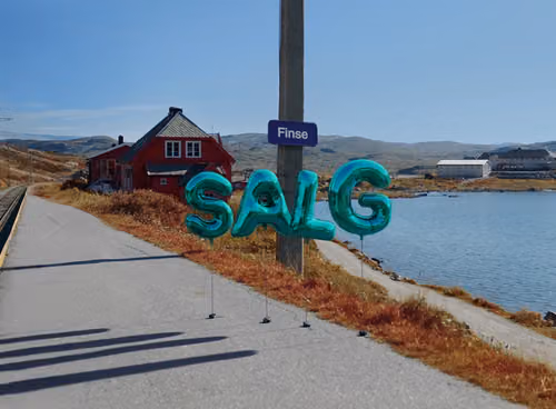 Vann med en vei som går langsmed, fjell og blå himmel i bakgrunnen. Et skilt hvor det står Finse, og Salg skrevet med ballonger.