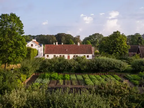 A farm