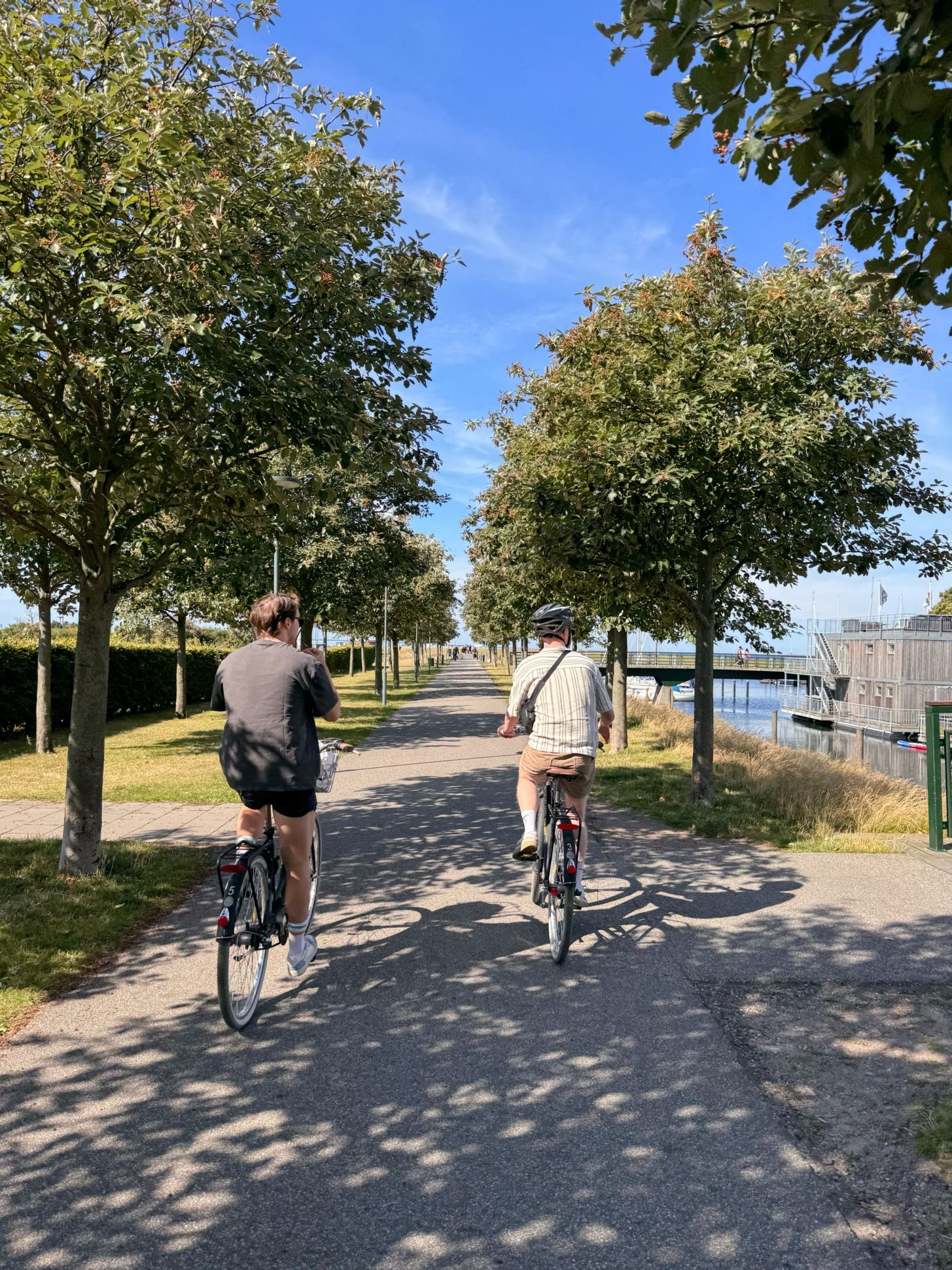 Two men cycling in a park