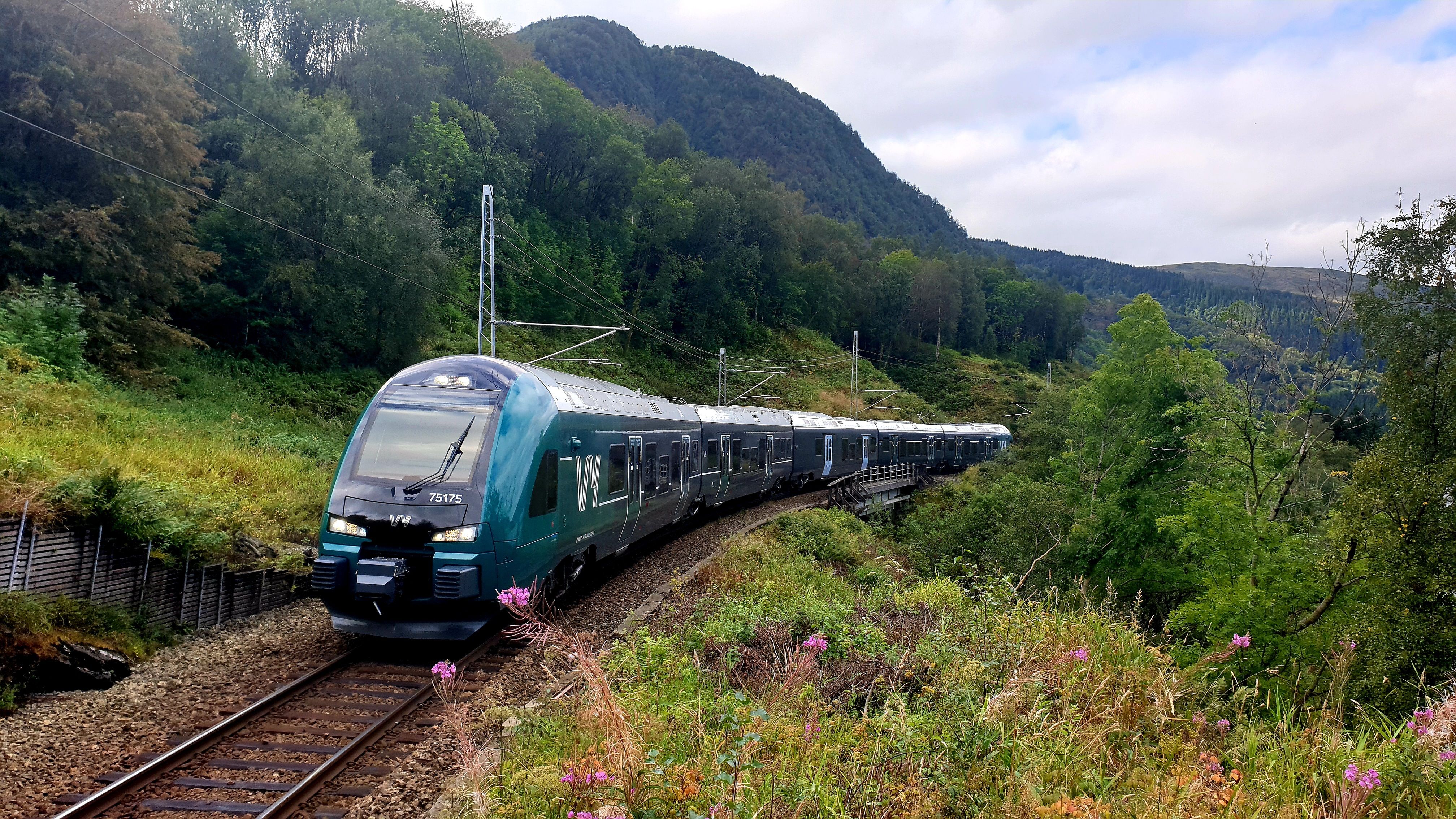 Tog kjører gjennom grønt landskap.