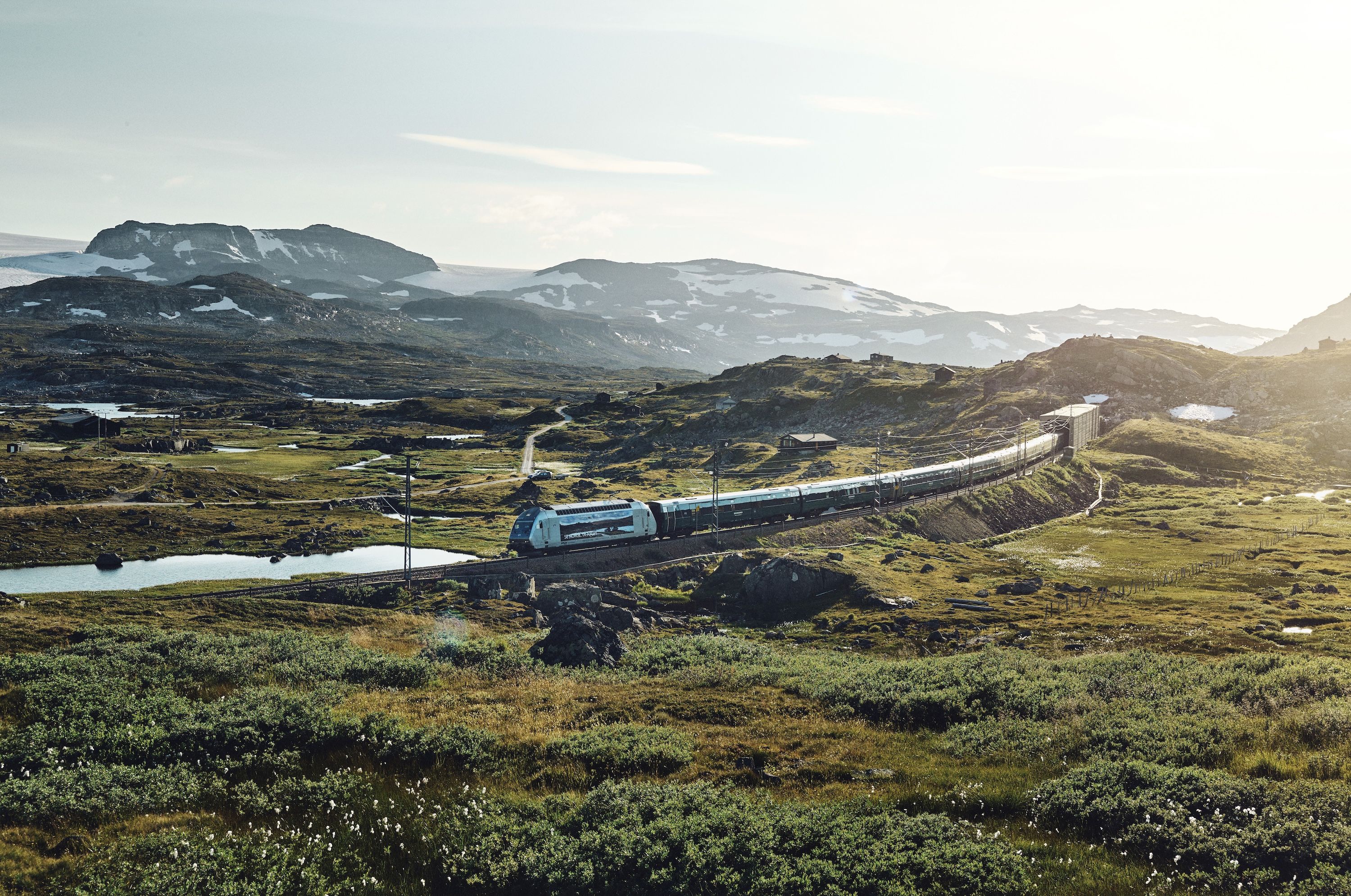 Train driving through green nature.