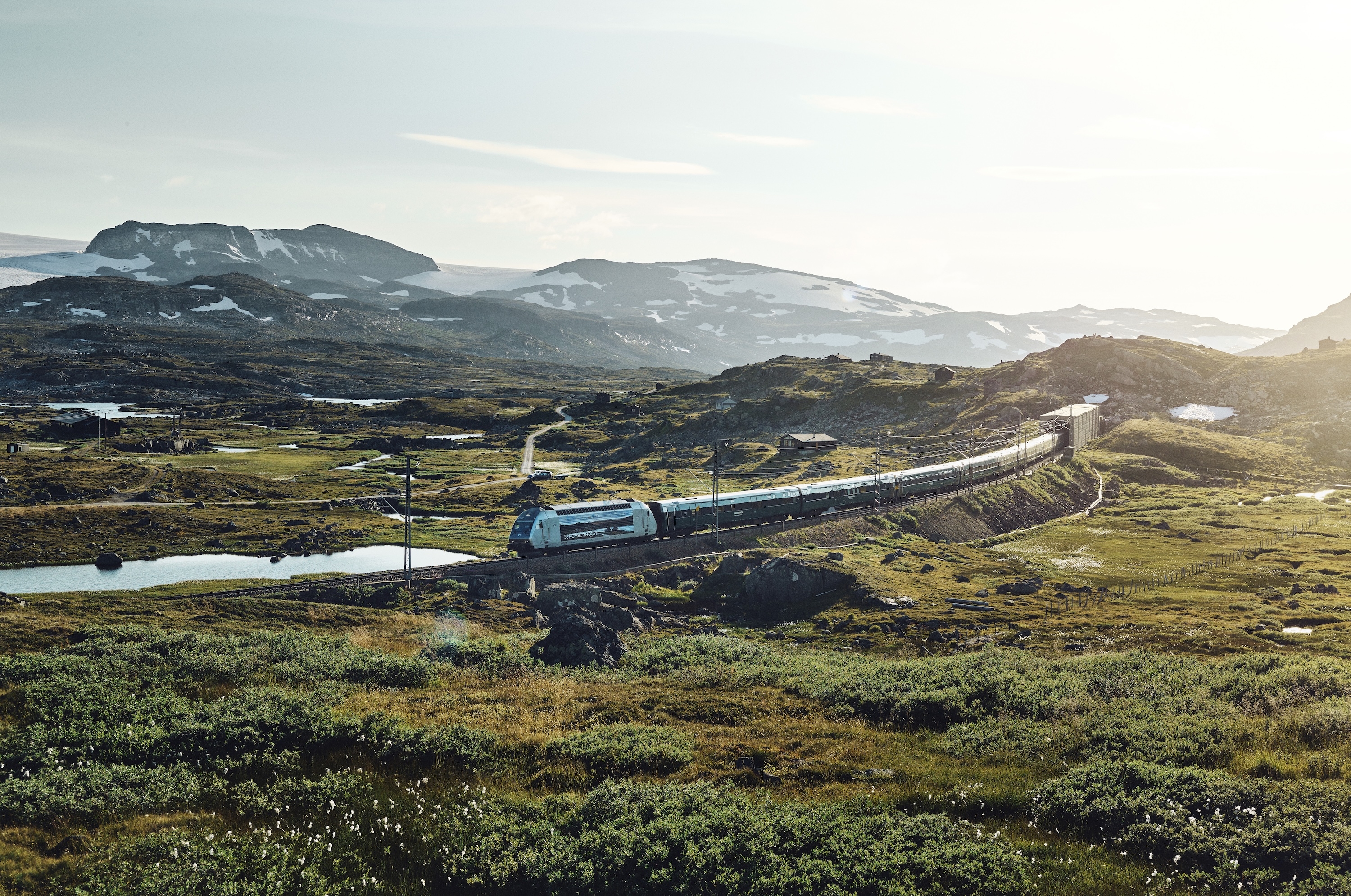 Tog som kjører i naturomgivelser.