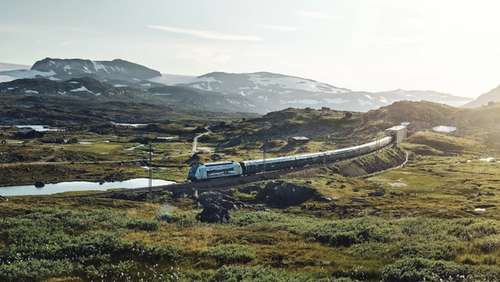 Train driving through green nature.