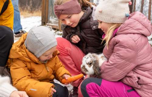 Three children holding and feeding a rabbit.