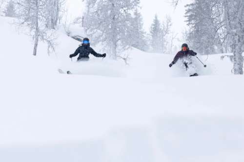 Two people free-riding in the forest.