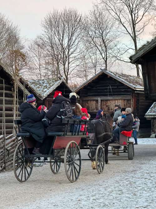 Hest og sledekjøring