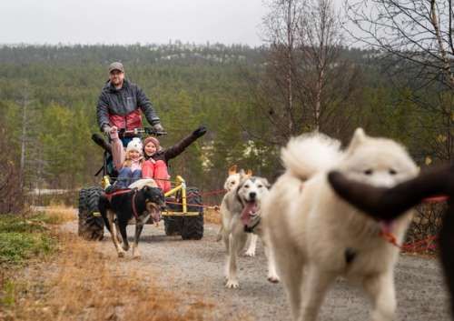 A man and two children dog sledding through the woods.