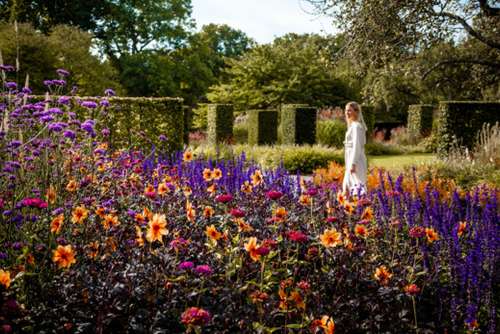 A meadow with flowers and a woman walking through it