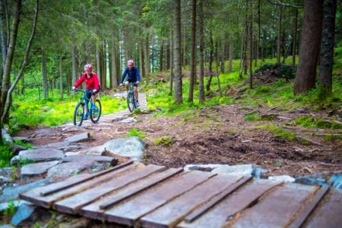 To personer som sykler på en sti i skogen.