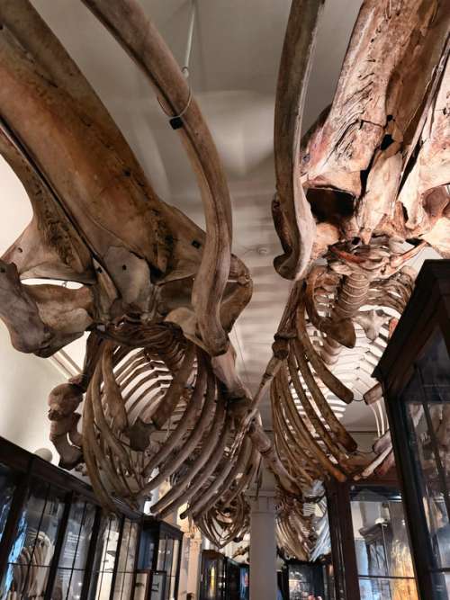 museum