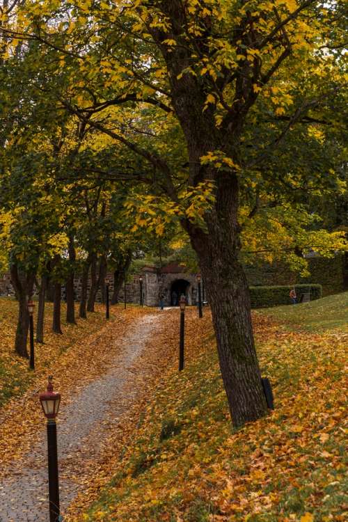 Visit Oslo