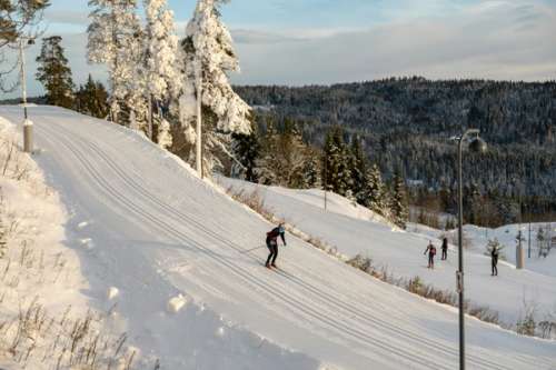 Person står på langrenn ned en bakke i skogen.